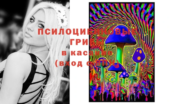 а пвп мука Абдулино