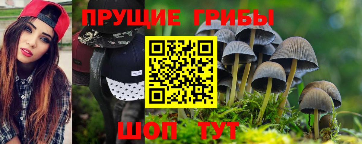 Галлюциногенные грибы ЛСД Карпинск