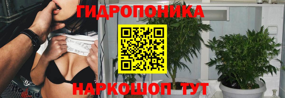 Марихуана планчик  Марихуана MAZAR  Карпинск  Марихуана ГИДРОПОН  Вход с VPN 